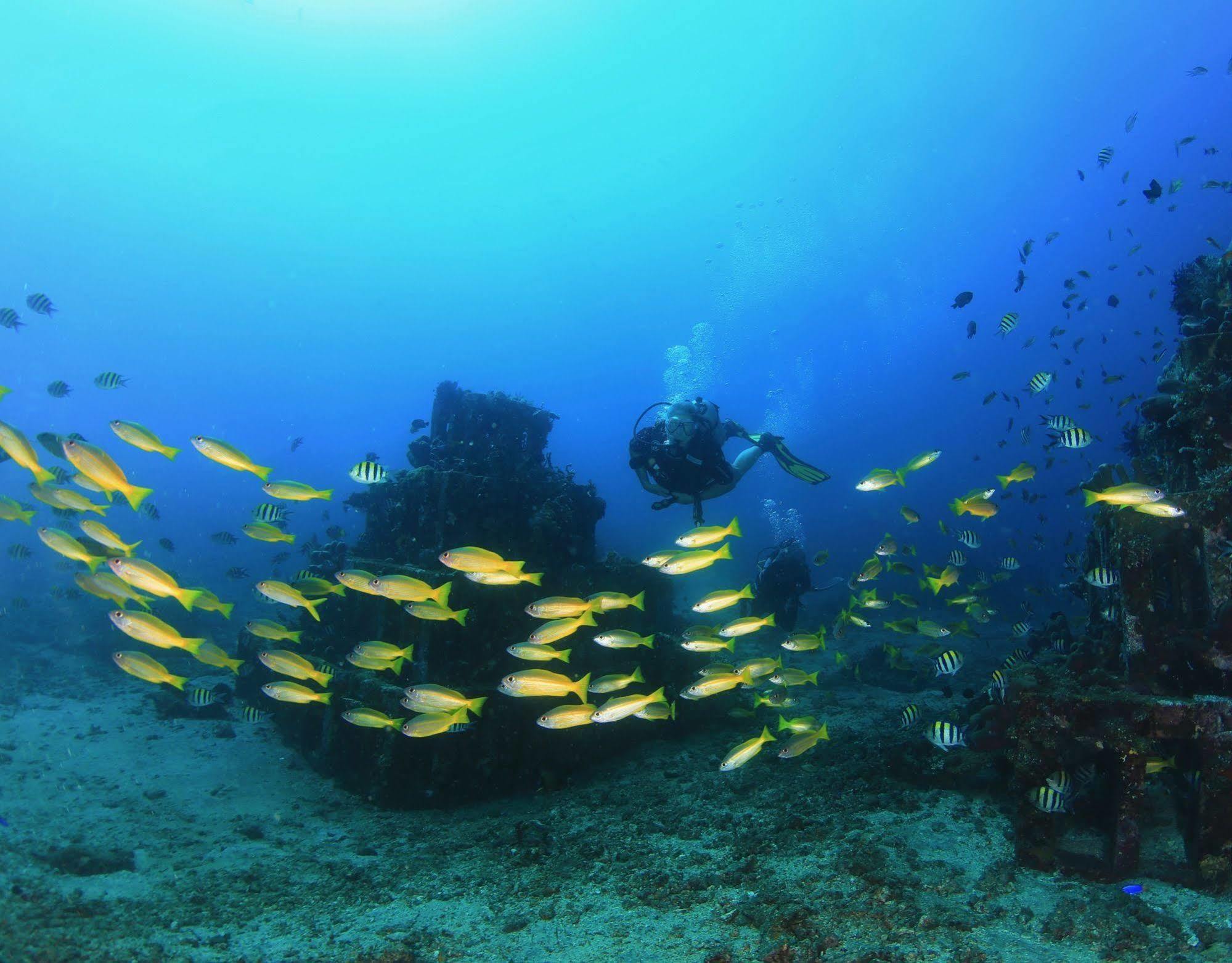 Minabali Bunga'Lo Hotel Tulamben  Luaran gambar